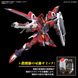 Immortal Justice Gundam HG 1/144 (Bandai) збірна модель, Гандам аніме HS000185 фото 10