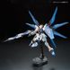 ZGMF-X20A Strike Freedom Gundam RG 1/144 (Bandai) збірна модель, Гандам аніме HS000039 фото 3